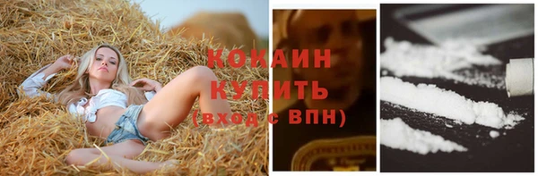прущие грибы Бронницы