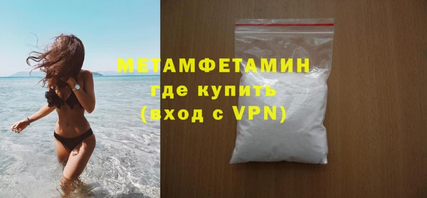 прущие грибы Бронницы