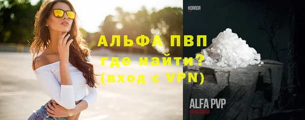 прущие грибы Бронницы