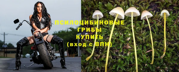 дурь Бородино