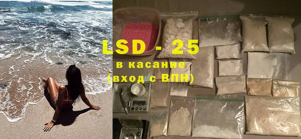 прущие грибы Бронницы