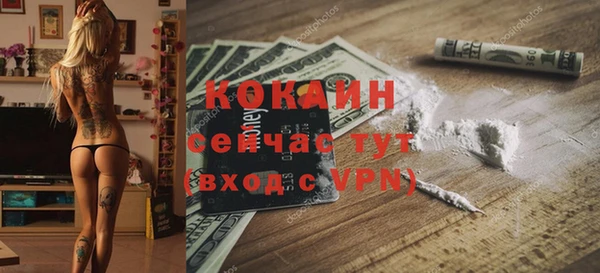 прущие грибы Бронницы