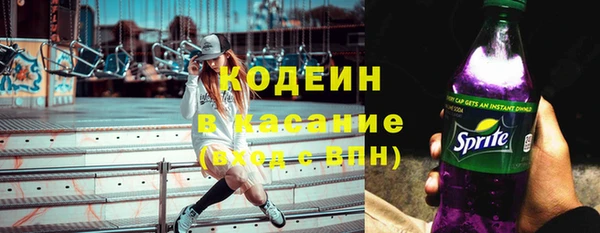 прущие грибы Бронницы