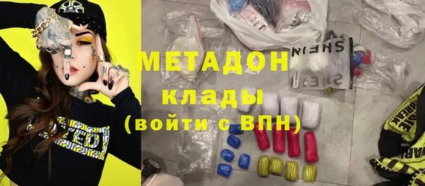 прущие грибы Бронницы