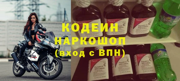 прущие грибы Бронницы