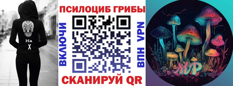 Псилоцибиновые грибы GOLDEN TEACHER KRAKEN маркетплейс Казань