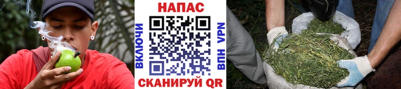 Бошки марихуана индика  OMG ссылки  Казань  где купить наркотик 